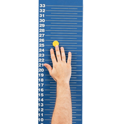 Push Up Training Mat