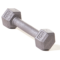 Hex Dumbbell w/ Straight Handle 10 lb